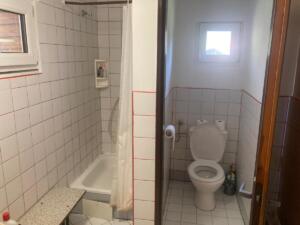 IMG 1343